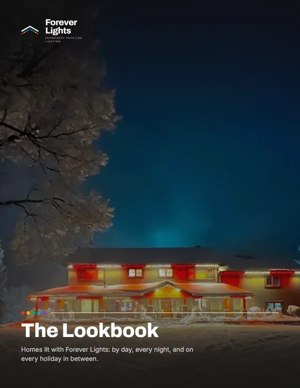 Cover of The Lookbook