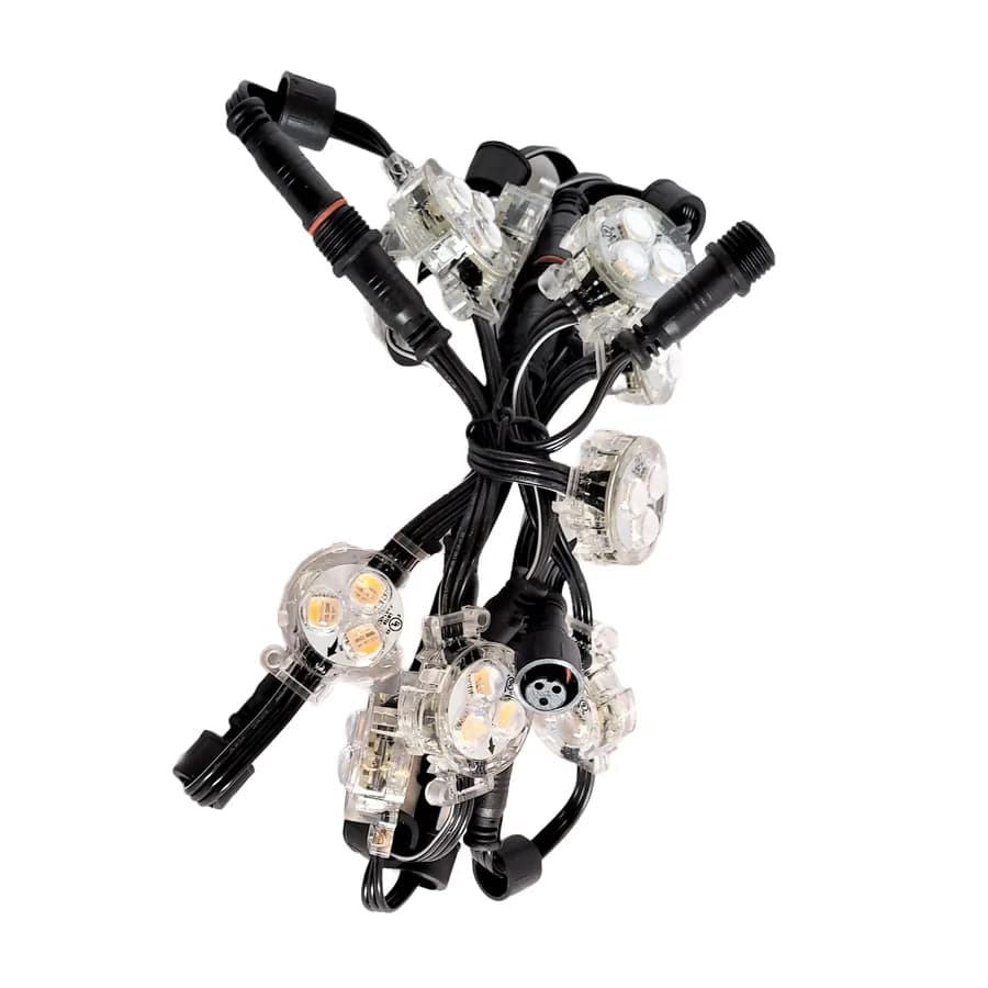 Forever Lights 5-Light RGBW Strand supplied in Forever Lights permanent lighting kits